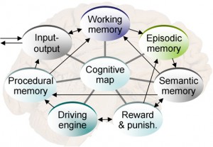 brain-memory-tonic-aayurghee-gomataseva.org