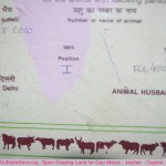 India_No1_Desi_Cow_Gir_Jasdan_Milk_Producing